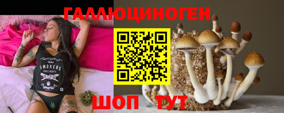 Калач-на-Дону  Псилоцибиновые грибы прущие грибы  Галлюциногенные грибы ЛСД  Вход с VPN 